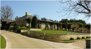Violet Hill Garden